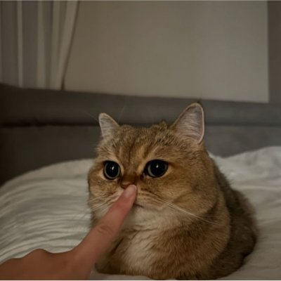 West Solana wallet profile