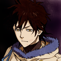 Bradjae Solana wallet profile