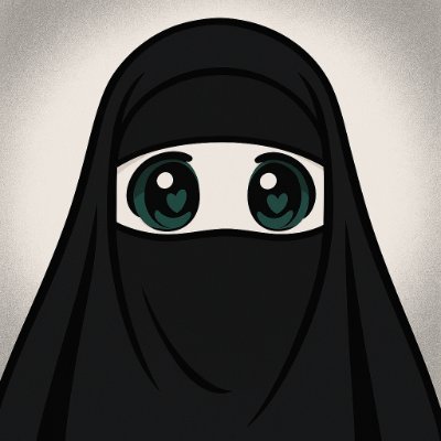 Limfork Solana wallet profile