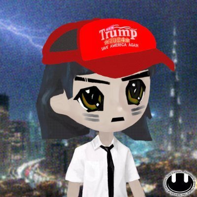 Narc Solana wallet profile