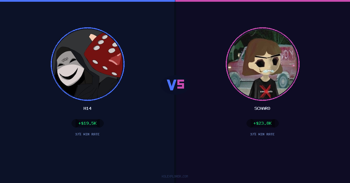 h14 vs Scharo preview