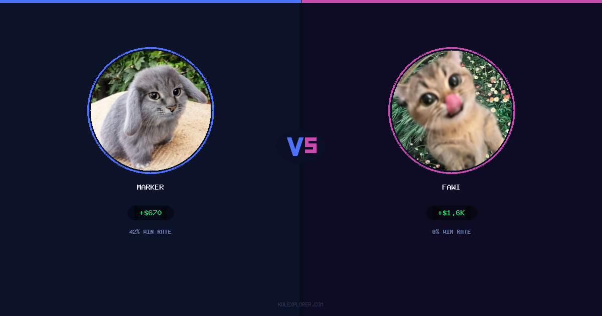 Marker vs Fawi preview