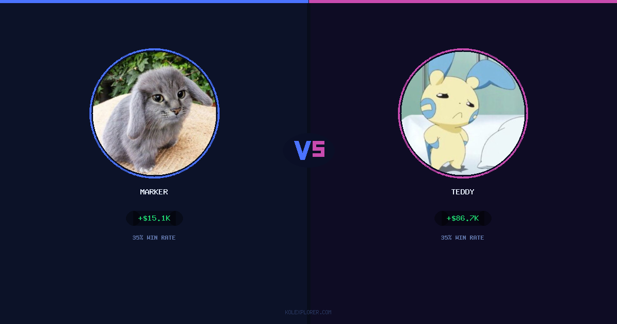 Marker vs Teddy preview
