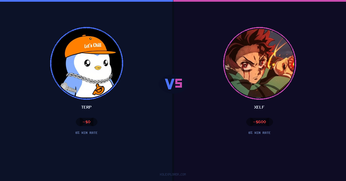 Terp vs Xelf preview