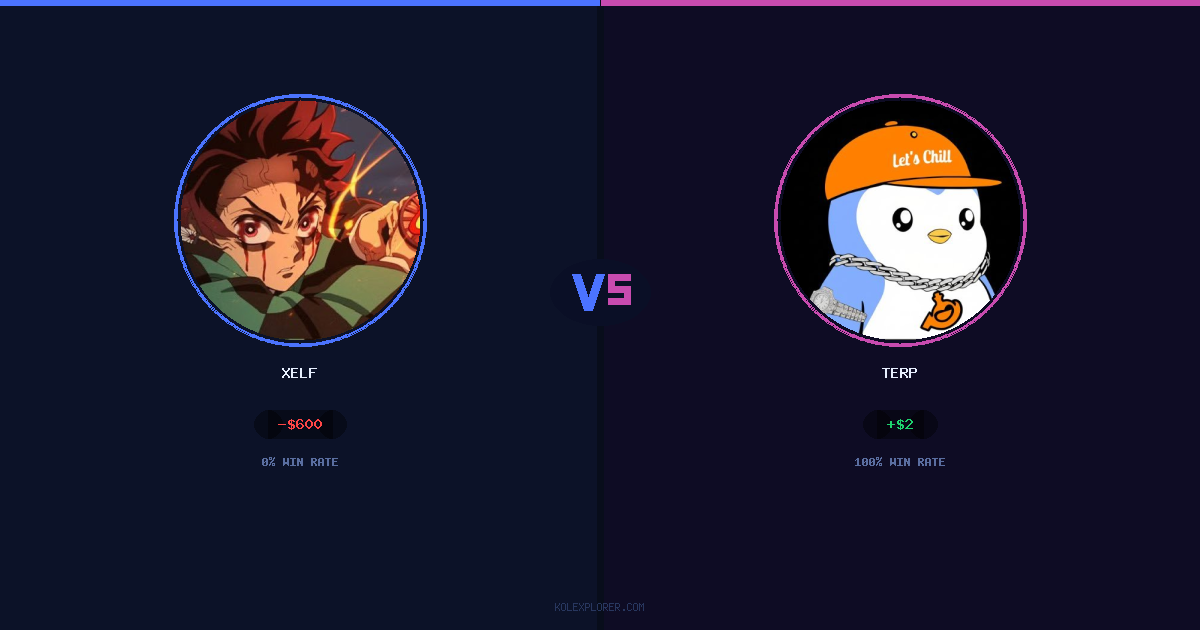 Xelf vs Terp preview
