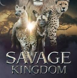 KINGDOM