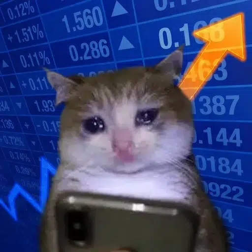 stockcat