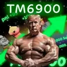 TM6900