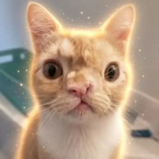 Smush