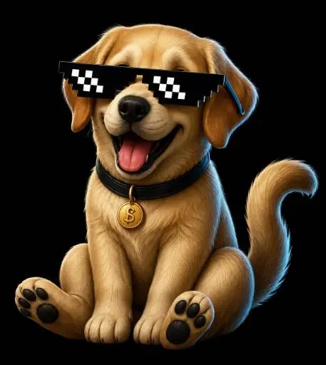 DogFi