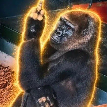 Kwisha 