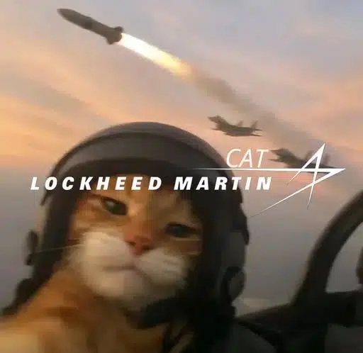 LMC