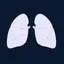 LUNG