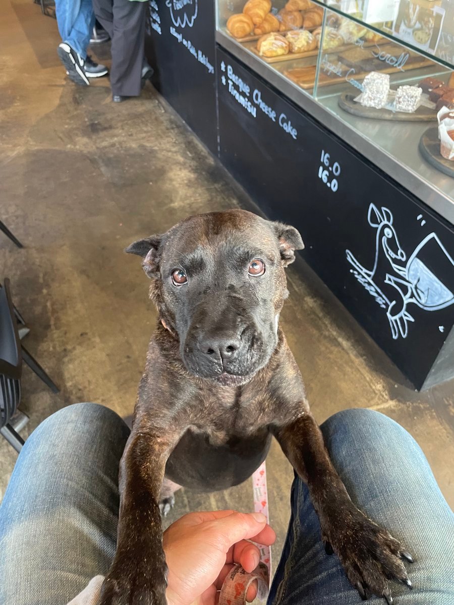 ROSIE
