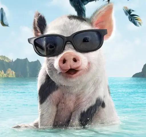Pua