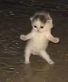 GEMI