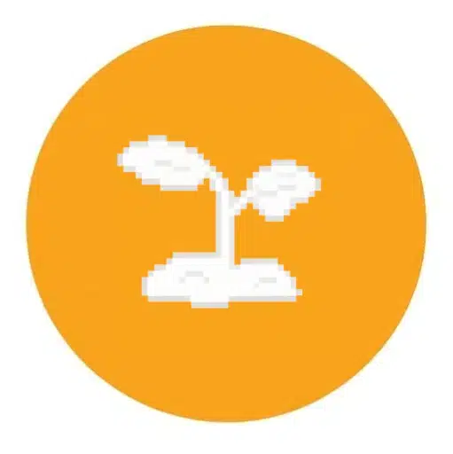 SEED