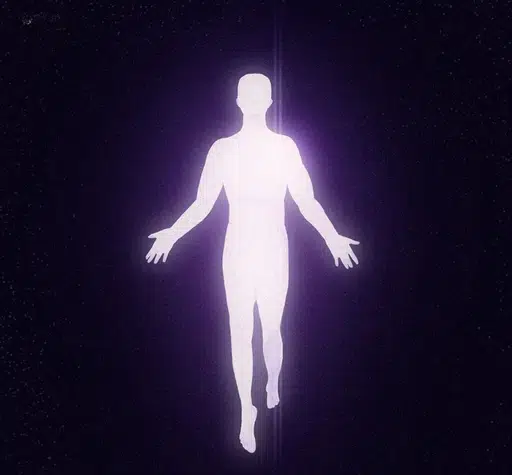 $RISE token logo