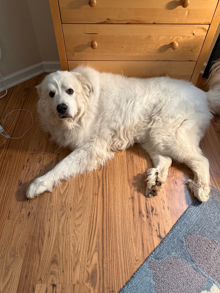 HUGO