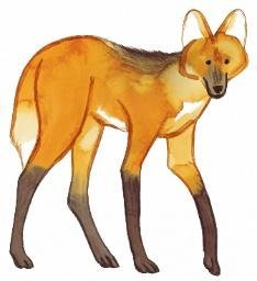 $WOLF token logo
