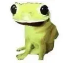 Amphibian
