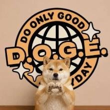 DOGE logo