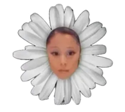 Petal
