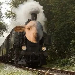 traingoat