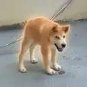 deg