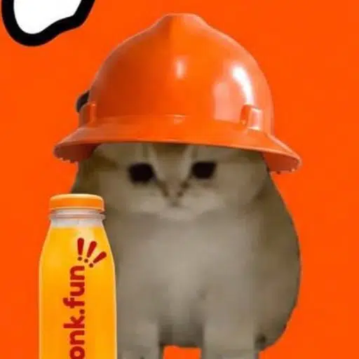 BONKCAT — BONKCAT Solana token traded by KOLs