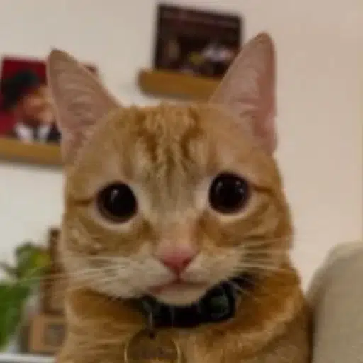 Nacho