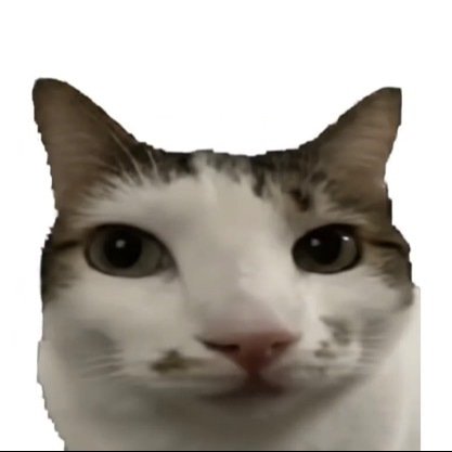 nomcat