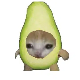 avocato