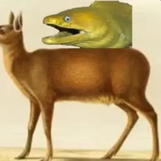 EOM
