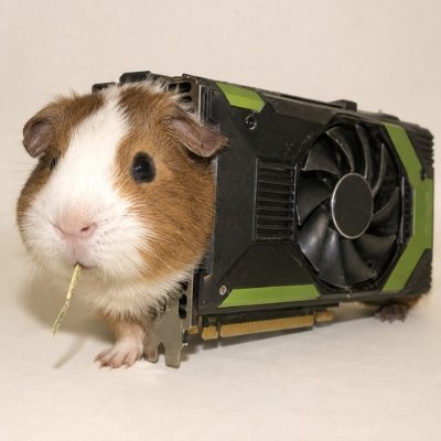 GPU