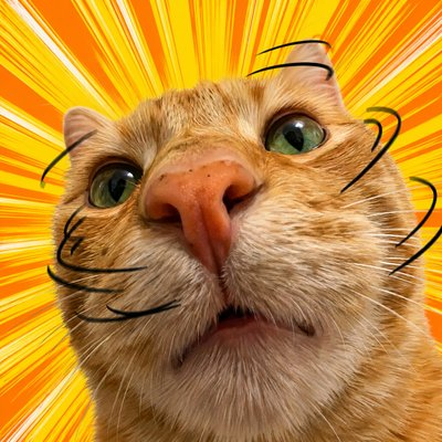NOCAT  logo