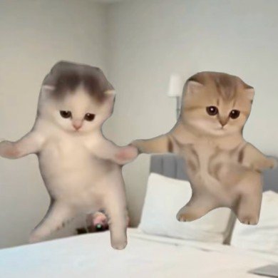Twin
