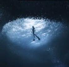 Diver