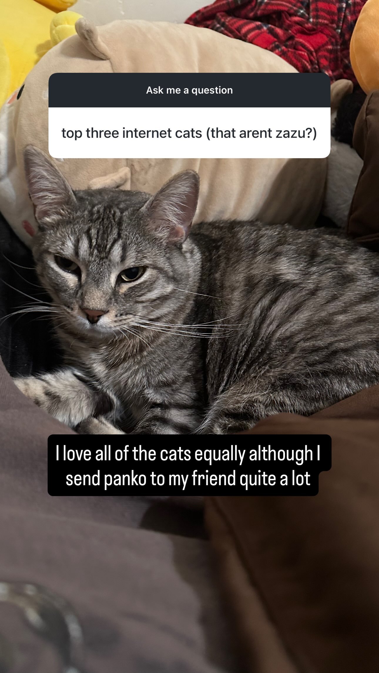 PANKO