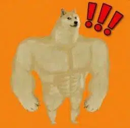 STRONK