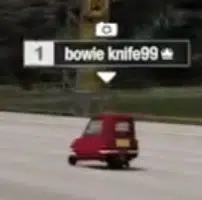 bowie