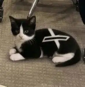 XCAT logo