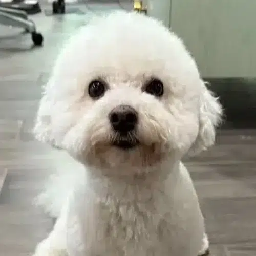 TOBY