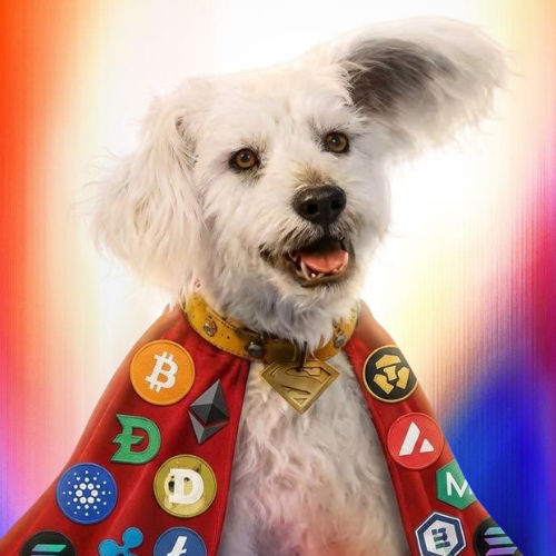 Krypto — recently traded by Omar on Solana