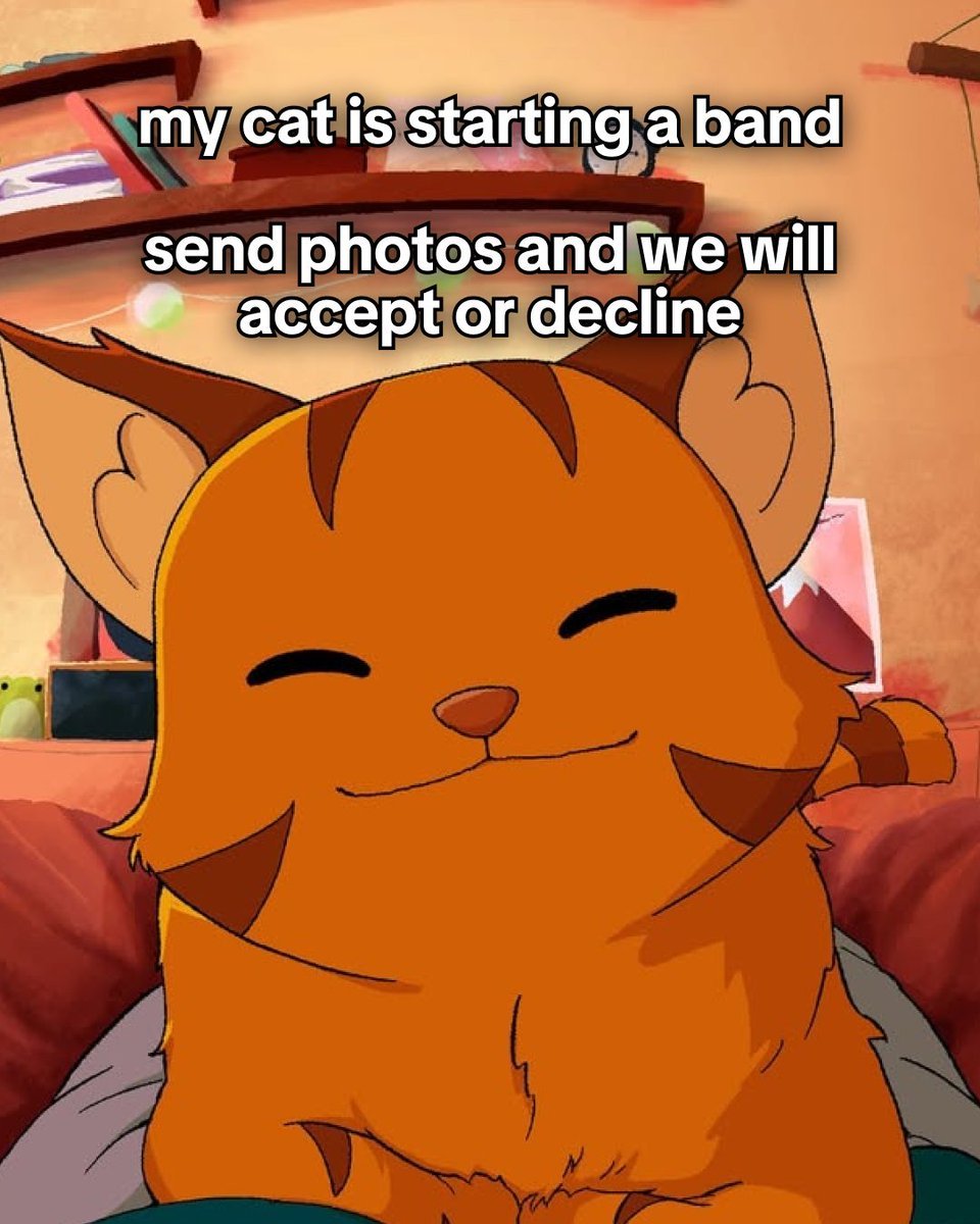 Meowfi