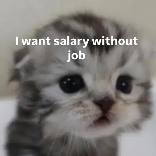 trenchcat
