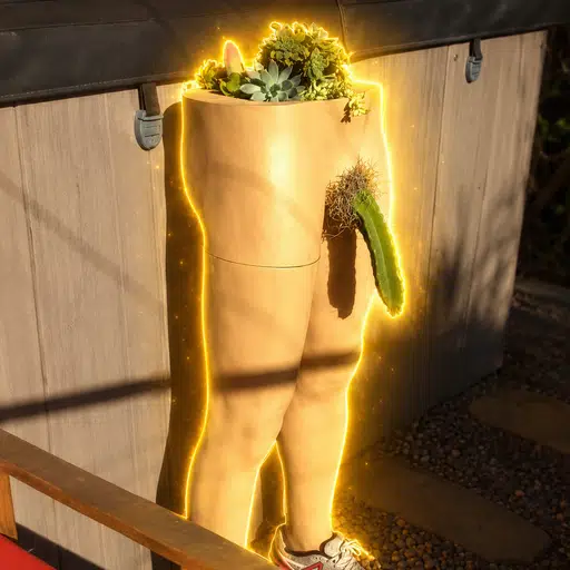 Cocktus