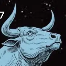 BULLS