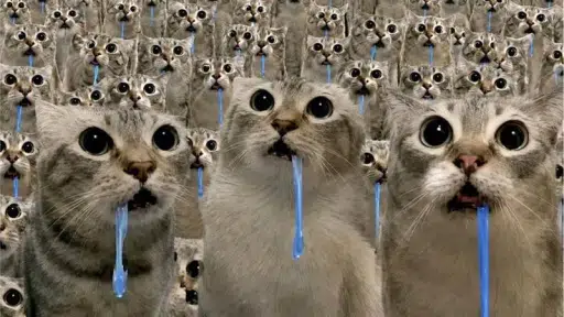 Billi