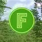 Feeless